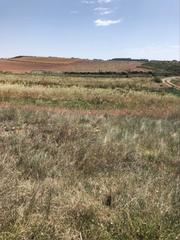 Propriété à Murillo de Río Leza. Finca rústica - murillo de rio leza ()