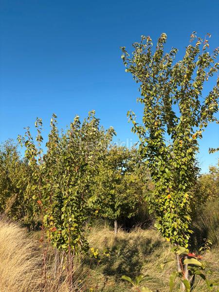 Foto 028f209f-e531-4aad-892f-7c7a8486b782. Landgut in Villamediana de Iregua