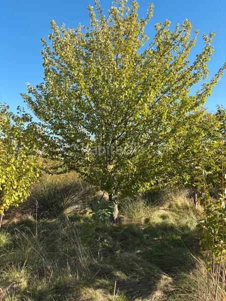 Foto 0631b7d4-5320-4b33-b2e0-81975eab9908. Landgut in Villamediana de Iregua