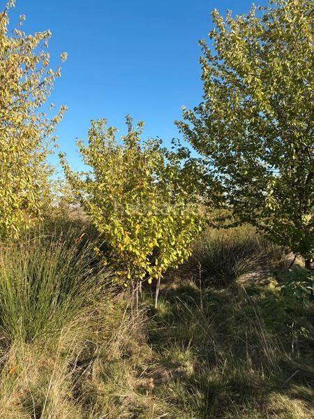 Foto 5f8ff18b-cd76-4cd5-8d25-6cda09c0c786. Landgut in Villamediana de Iregua