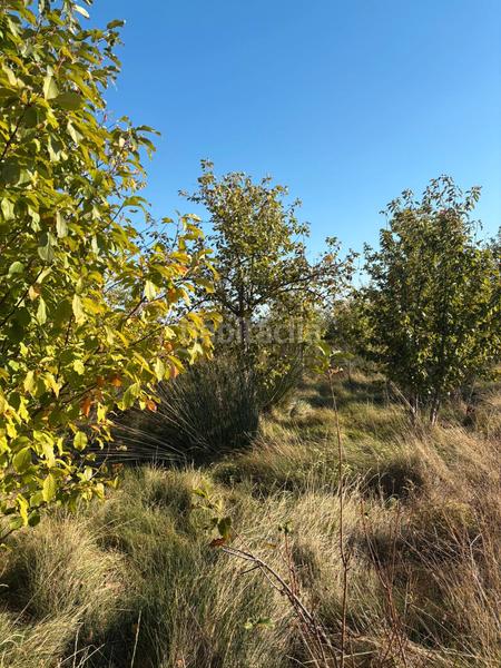 Foto 88778afd-605b-44e5-8b7c-97067874ab8f. Landgut in Villamediana de Iregua