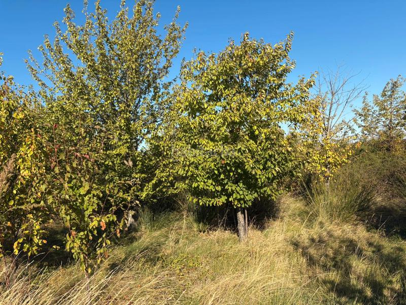 Foto a0c8f894-a25c-4821-a73f-d8a5b9d6a144. Landgut in Villamediana de Iregua