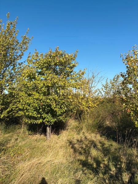 Foto c6843896-24e7-45c4-a1d3-a847d73c86f4. Landgut in Villamediana de Iregua