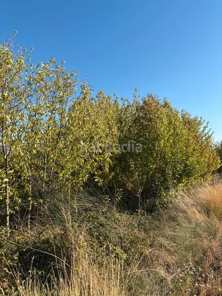 Foto ffe820e6-2fc3-44fa-ac3a-167149c117f6. Landgut in Villamediana de Iregua