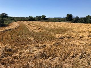 Fondo rustico in Navarrete. Finca de regadío