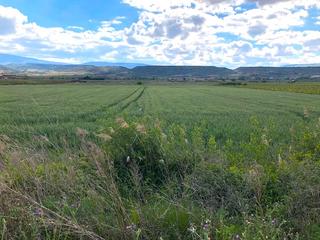 Finca rústica en Navarrete. Finca de regadío en navarrete