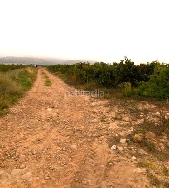 Foto 446eff92-b979-4f38-9414-11a30b7db218. Fondo rustico in Navarrete