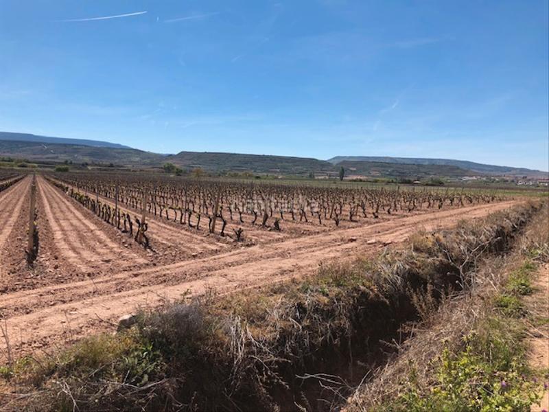 Foto 4f3a61cb-2d14-4b3f-97a0-ac152e74211c. Propriété dans Navarrete