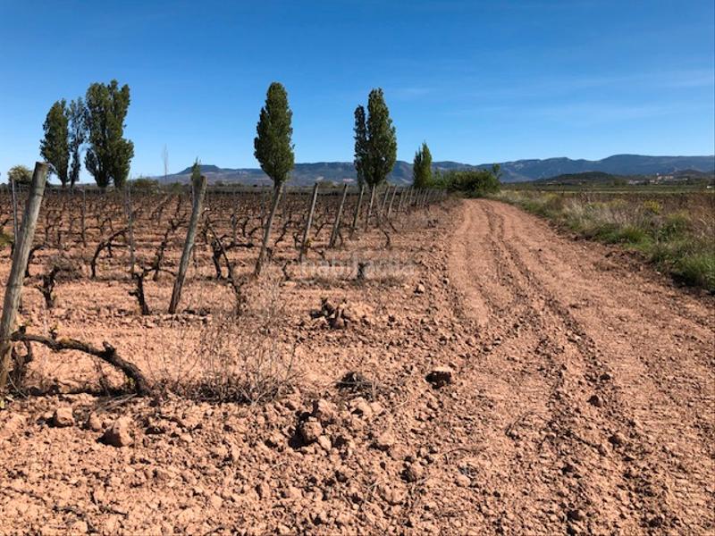 Foto 5fd450d0-2747-4f47-8804-89759865ab9d. Propriété dans Navarrete