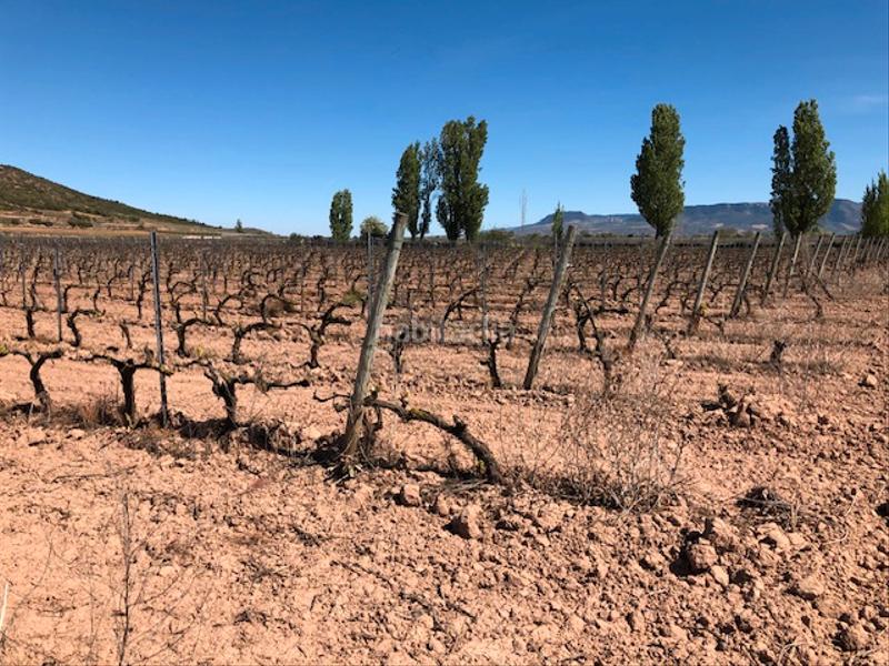 Foto 7c5b2142-bf28-4b3f-85f6-f7c9171f4d62. Propriété dans Navarrete