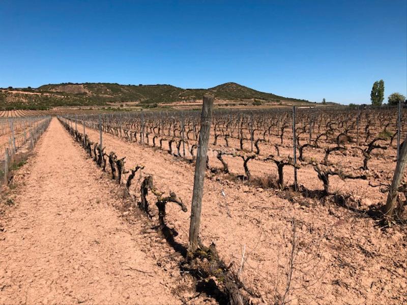 Foto 9a145116-0395-421e-be37-64fba3787562. Propriété dans Navarrete