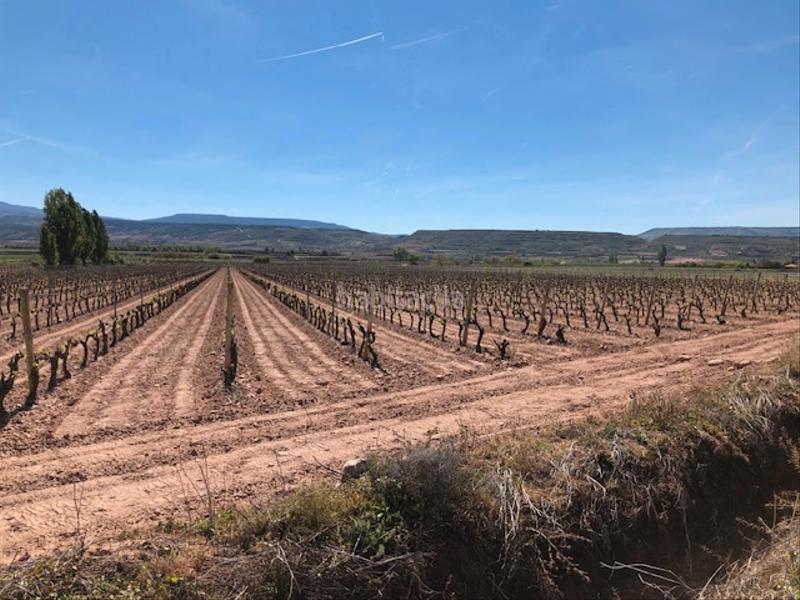 Foto a9afb5cd-f65c-4588-a72f-03f8c79d61c0. Propriété dans Navarrete