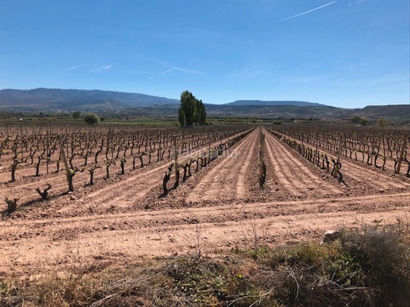 Foto b05680a3-e7db-45ff-9117-b8e6689557b8. Propriété dans Navarrete