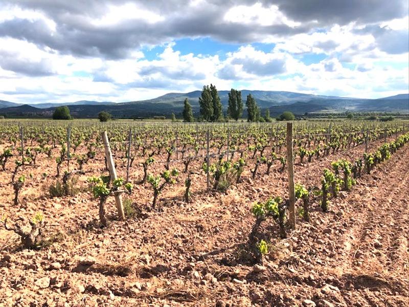 Foto b89da08d-1b5c-45a7-af5c-99743ef1f0cd. Propriété dans Navarrete