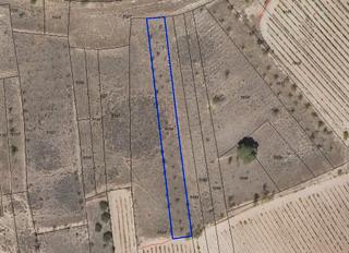 Propriété à Alesanco. Almendros