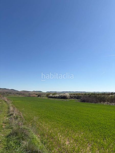 Foto d40d0d73-7a05-4f5a-aa14-91a66103e5a9. Finca rústica a Villamediana de Iregua