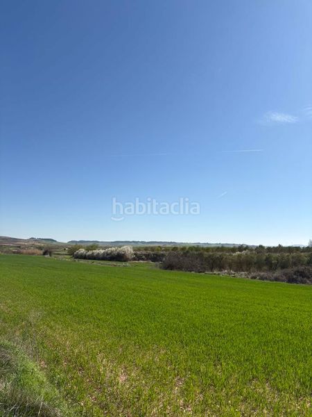 Foto e26d8cfd-235c-4024-91c5-b4587d36a824. Finca rústica a Villamediana de Iregua