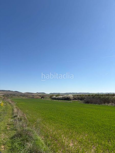 Foto f34c686d-d724-4f47-8f52-a699e2826030. Finca rústica a Villamediana de Iregua