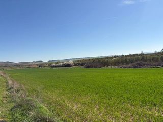 Fondo rustico in Villamediana de Iregua