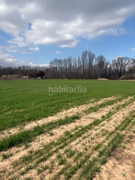 Foto bfe0cce5-1ac8-49ff-bb4f-4208e9cf225f. Finca rústica a Villamediana de Iregua
