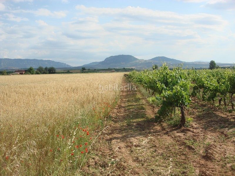 Foto 13d8ecc8-e842-4366-b913-2659671921db. Finca rústica a Villamediana de Iregua