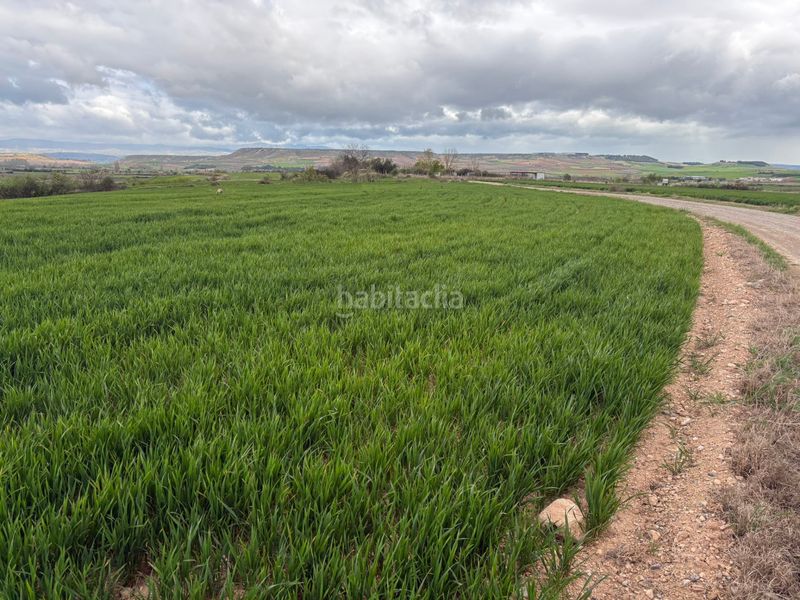 Foto 0868f4d7-263d-4162-becf-010712a329df. Finca rústica a Alberite