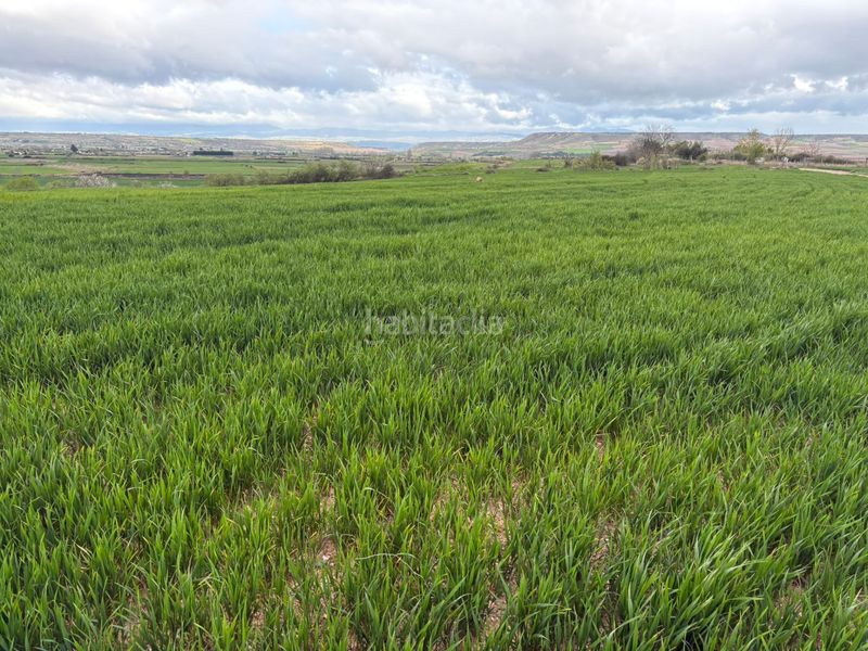 Foto 3683e657-8c71-4f54-9515-7291db79c9df. Finca rústica a Alberite