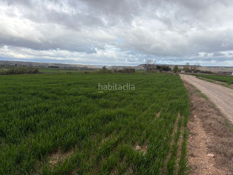 Foto 3ff4d3aa-1a97-43de-8871-476a75ced58e. Finca rústica a Alberite