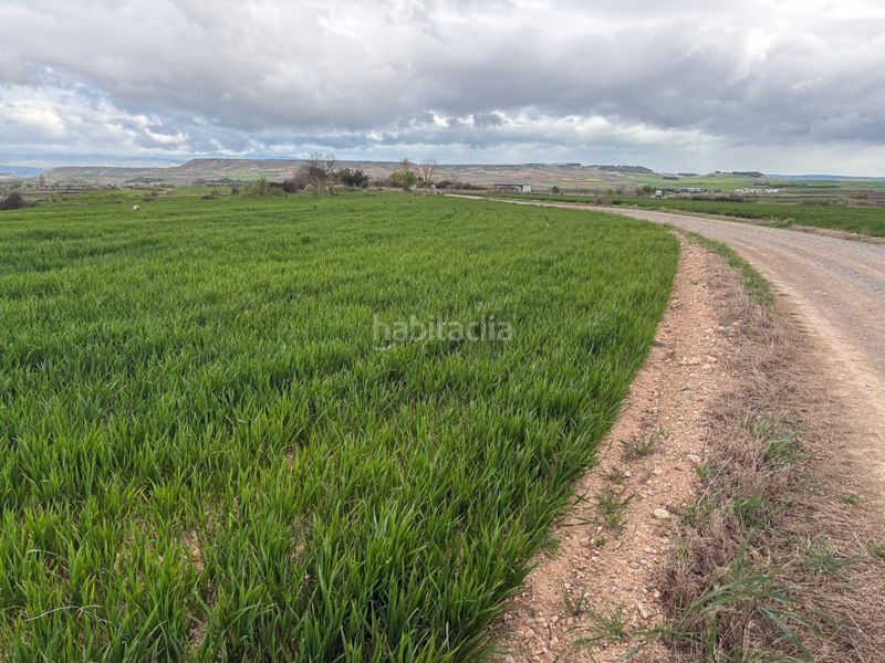 Foto 6f181df8-9dcc-49bf-8186-210f178a2cd6. Finca rústica a Alberite