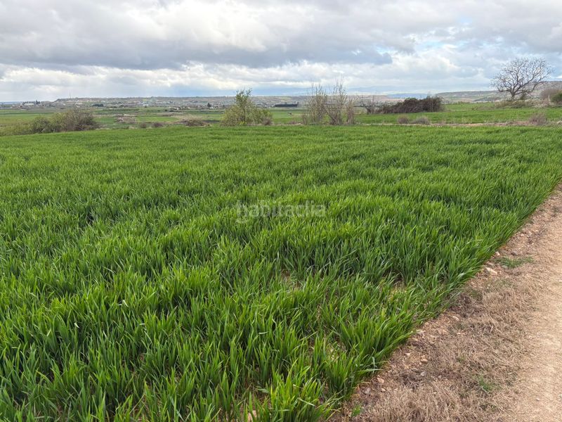 Foto 78431fea-98e3-4b91-9edf-87c8def21e99. Finca rústica a Alberite