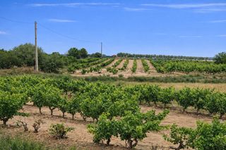Finca rústica a Villamediana de Iregua. Finca de regadío
