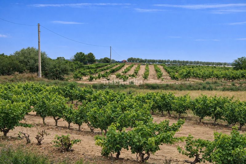 Foto 4a6bfdc7-29ca-4d7f-b8d5-75fd74de94a5. Finca rústica a Villamediana de Iregua