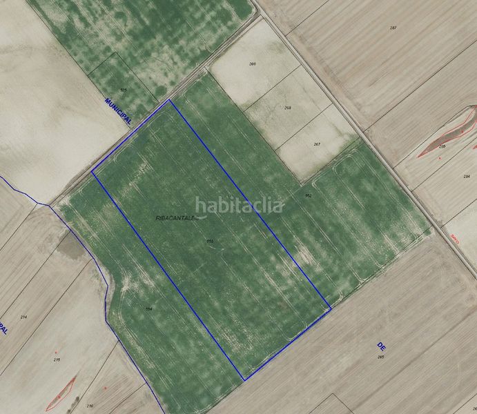 Foto ceecb4b8-da8c-4a34-ae57-75409bfbf1b3. Finca rústica a Ochánduri