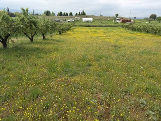 Rural plot in Lardero. Finca de recreo