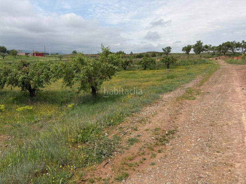 Foto d3cd3751-17ce-456e-8b24-7f1a04ff21c9. Finca rústica a Lardero