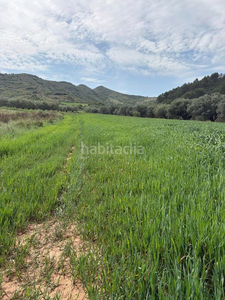 Foto 7b336d3c-69a5-4683-b308-7a6833f125bd. Finca rústica a Lardero