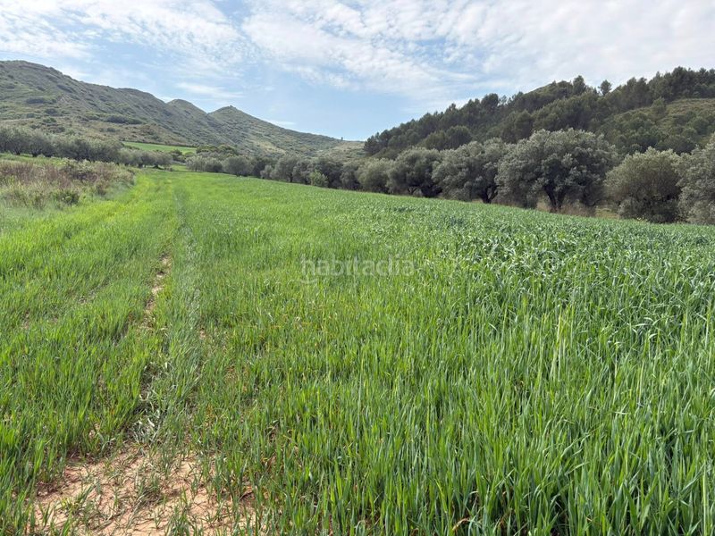 Foto b371f4f9-a840-4b0f-a8b5-f0659e4b47cd. Finca rústica a Lardero