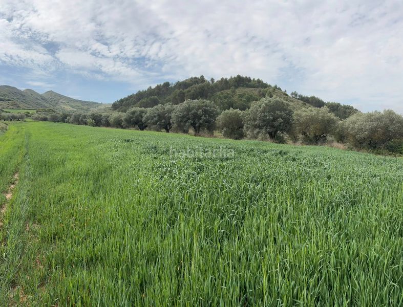 Foto c0866402-b417-4898-951a-af11397f5579. Finca rústica a Lardero