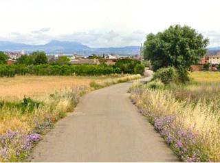 Finca rústica a La Estrella. Finca rústica - logroño (cascajos)