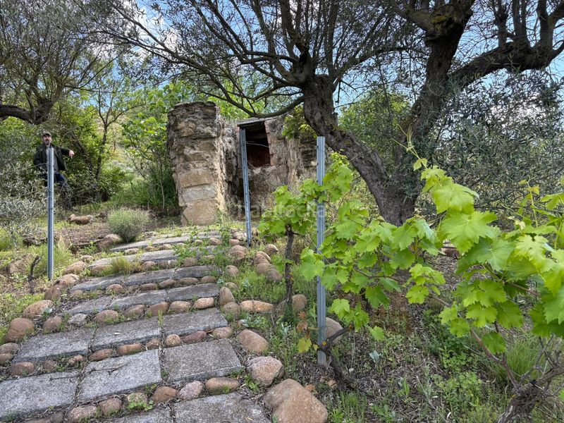 Foto dd325221-f9da-451f-ac0d-c7ea96d0716a. Finca rústica a Cenicero