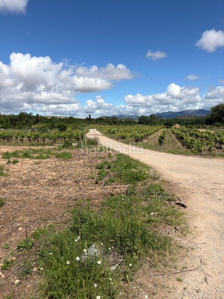 Foto 70e1ff3c-7389-487a-8191-5fd7fa1aa649. Finca rústica a Cenicero