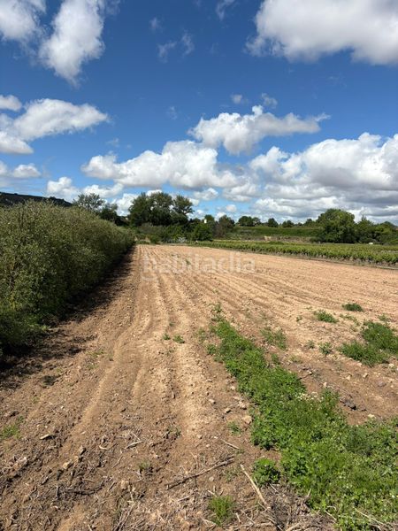 Foto bb3b81f3-e482-4680-861e-d698cf5457eb. Finca rústica a Cenicero