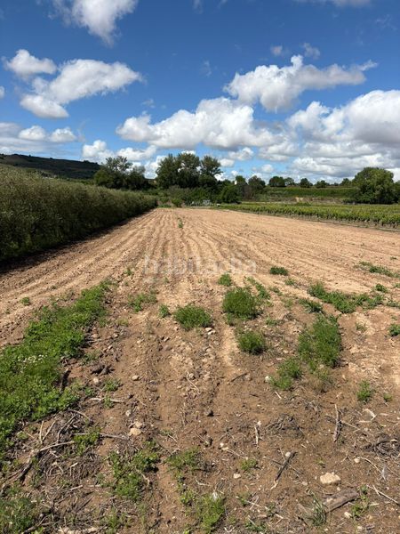 Foto f297a4fd-c819-4262-a0c7-8051bae57b20. Finca rústica a Cenicero