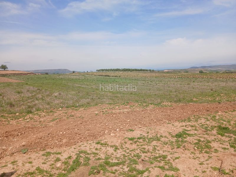 Foto 7bf37a95-f631-4338-a5a2-eaf0b5060950. Finca rústica a Ausejo