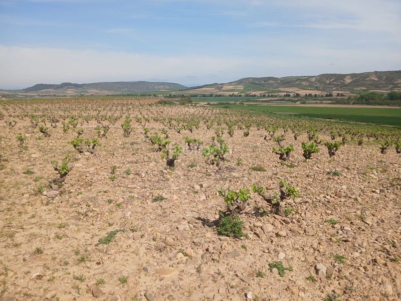 Foto f8634d23-c011-4e66-adf4-66cdb0b56c31. Finca rústica a Ausejo