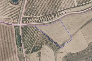 Rural plot in Calle don tomás muro 19. Finca de secano