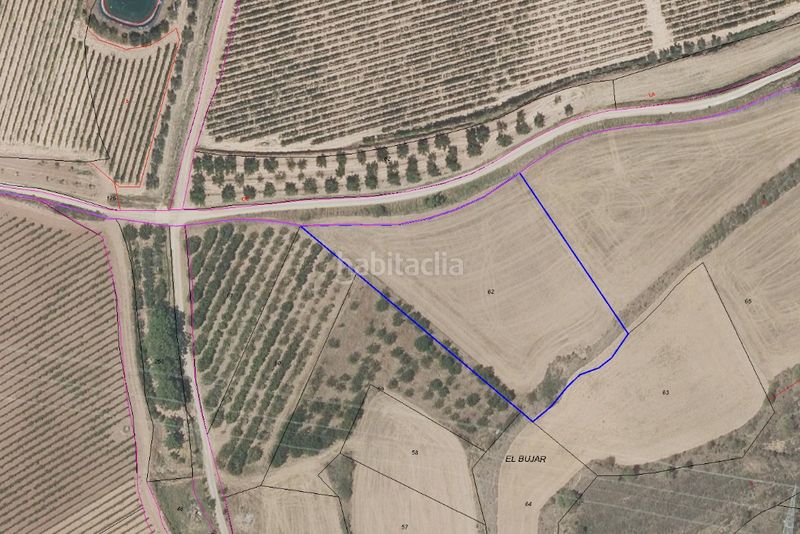 Foto 231cdaab-9f6b-4b94-bfb1-d75dfa53d9ff. Finca rústica a calle don tomás muro 19 a Clavijo