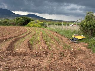 Rural plot in Alberite