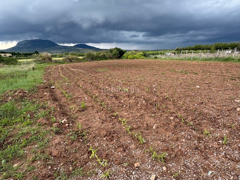 Foto 1a329e9d-b848-4cb2-8e4c-e22a2d188795. Finca rústica en Alberite
