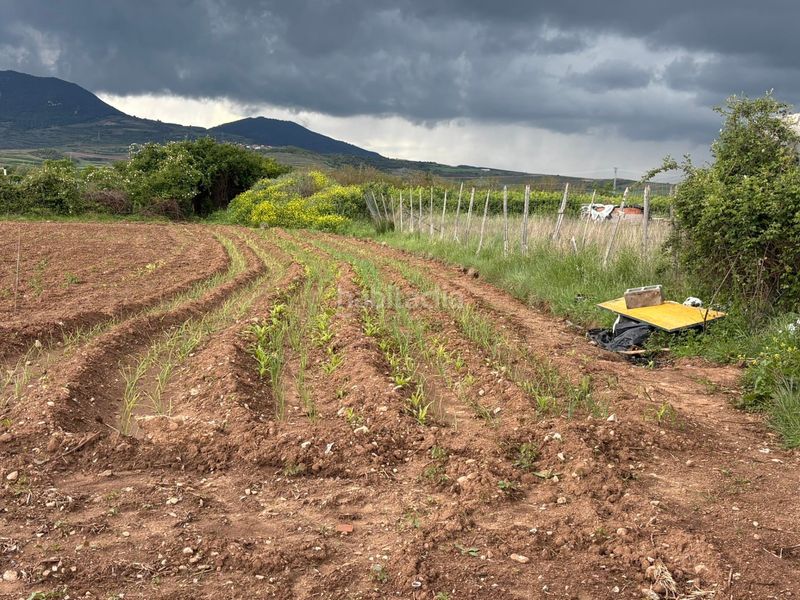 Foto 5109d122-e097-449e-af70-f98e01c3ff49. Finca rústica en Alberite